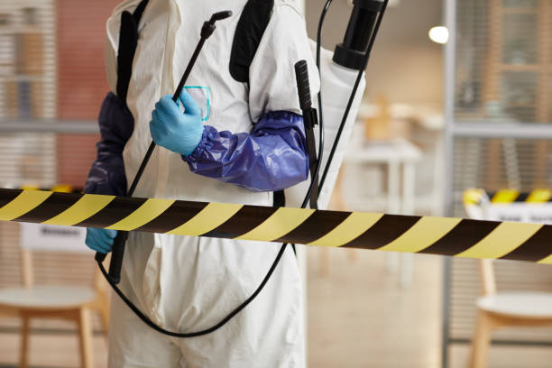 Professional Sewage Cleanup technician working in Dryden, MI